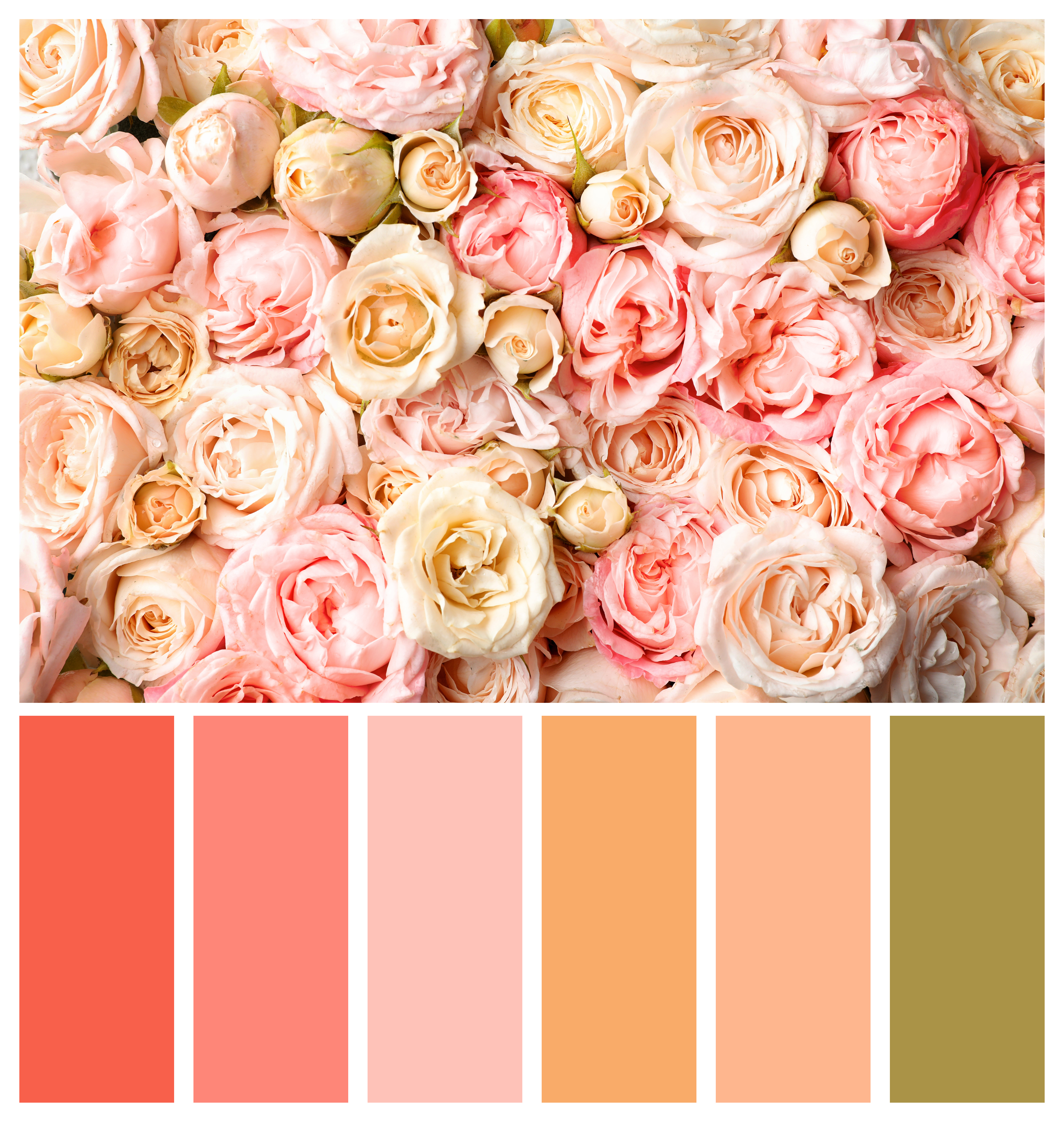 How to find the perfect wedding color for you?