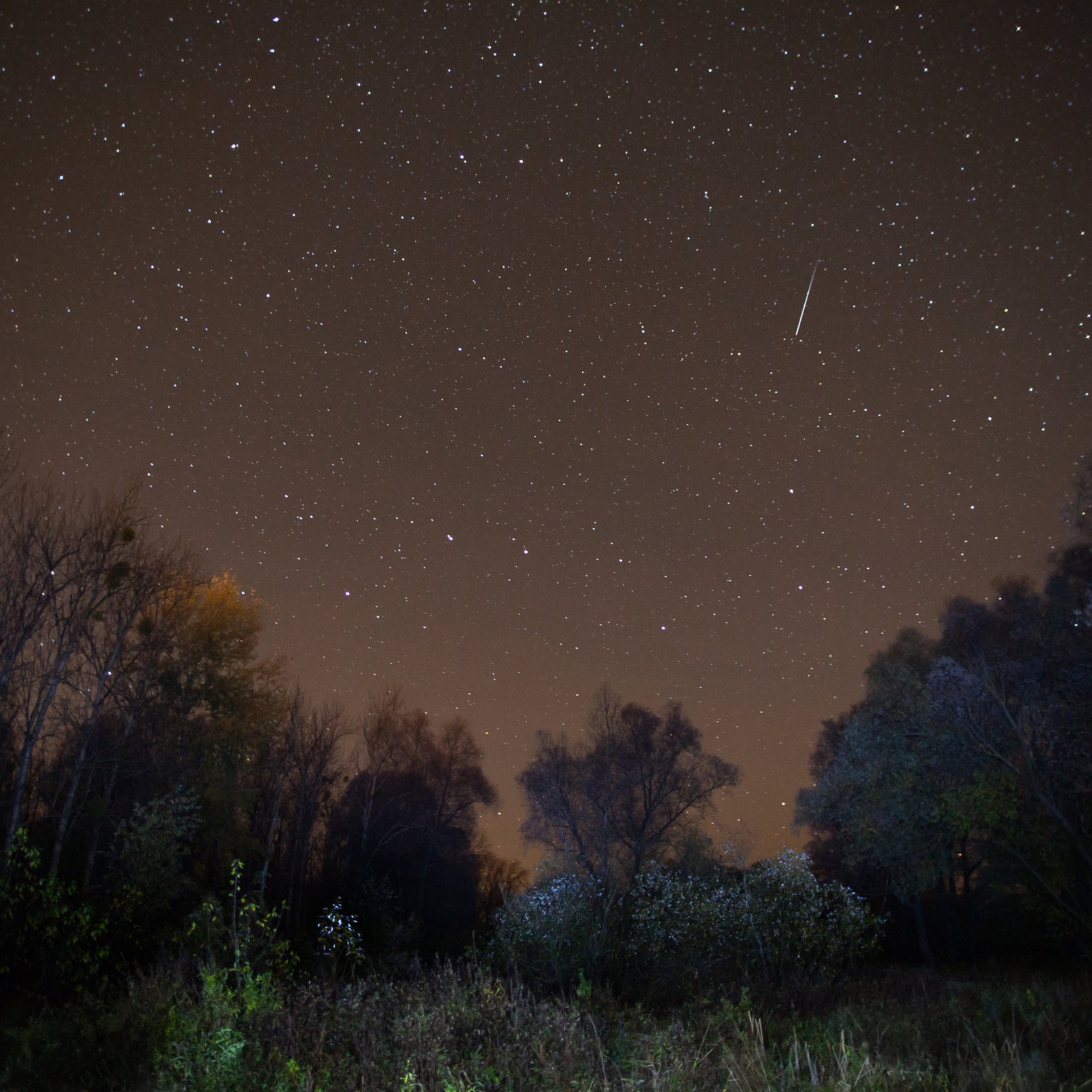 The Zselici Star Park is located next to Kaposvár - the most beautiful shooting stars